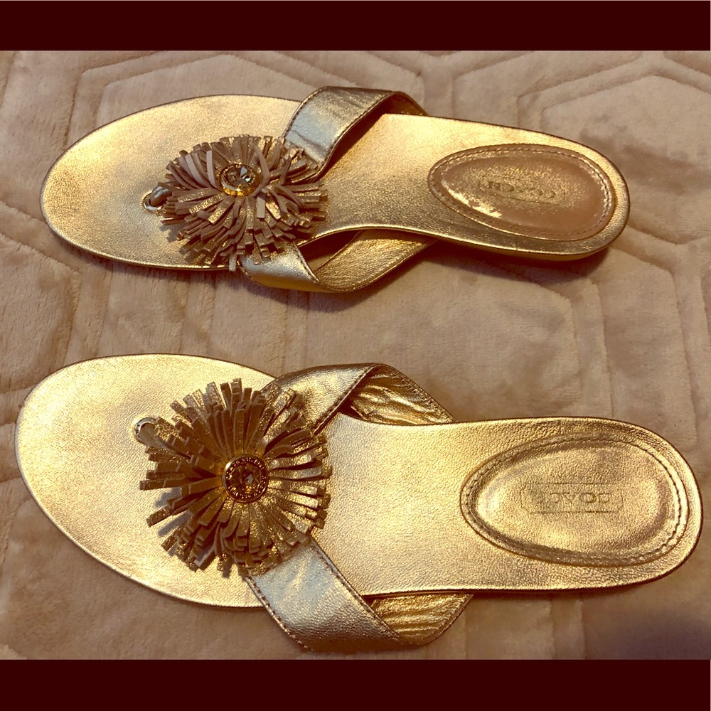 Women’s Slippers